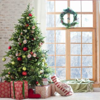 C48 Christmas Tree by the Window
